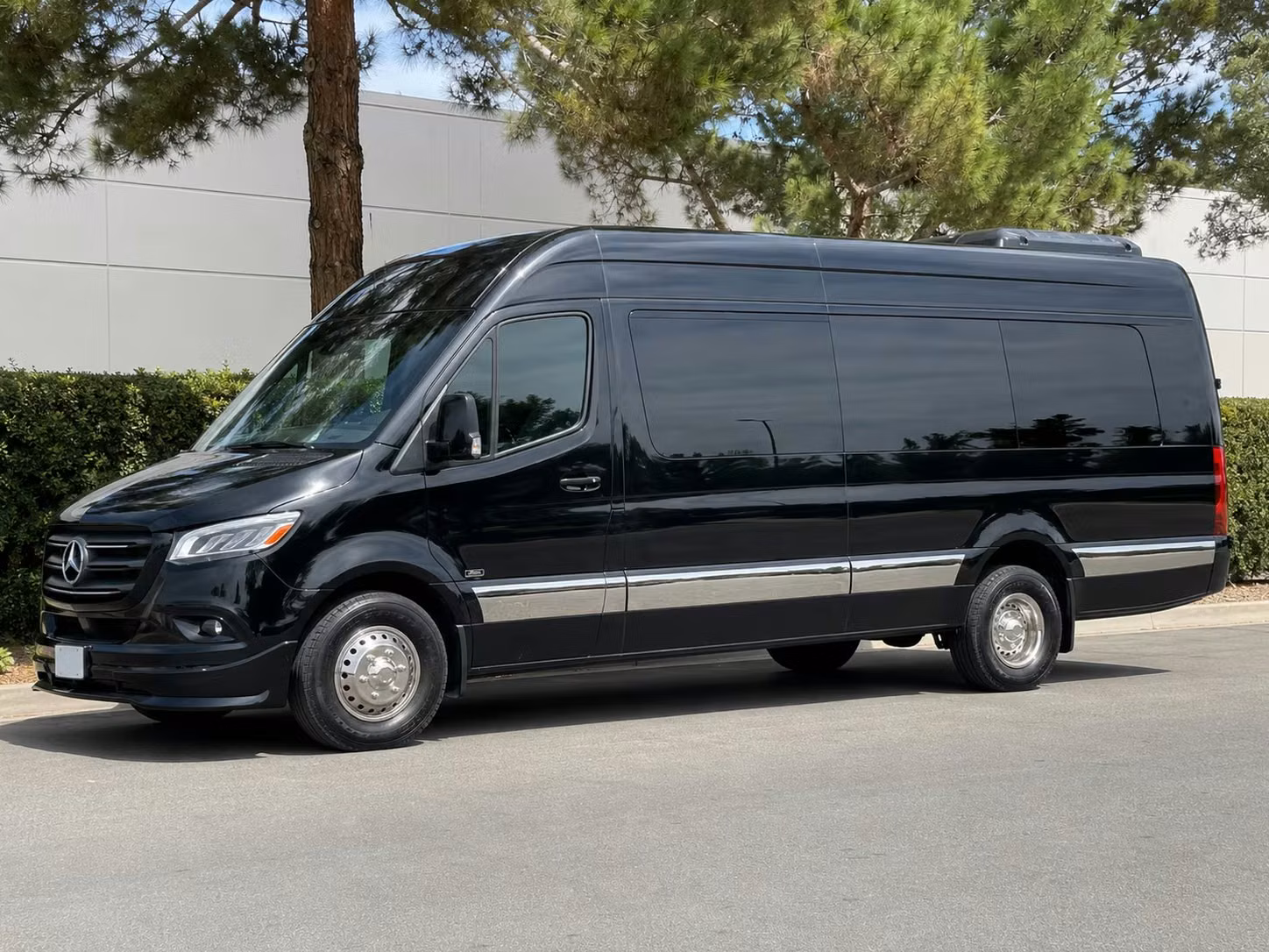 sprinter van with driver